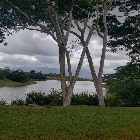 Meet your Posher, Vanessa - Picture 1 of 1